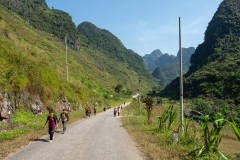 D047286