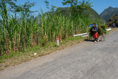 D047287
