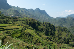 D047309