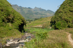 D047342
