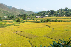 D057450