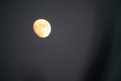 D057483-Enhanced-NR