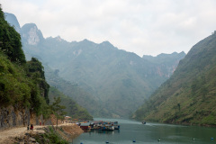 D067497