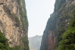 D067526
