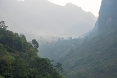 D067533