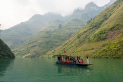 D067546