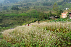 D067559