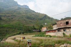D067560