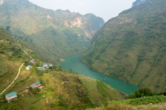 D067565