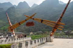 D067572