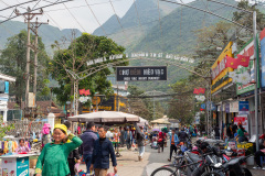 D067601