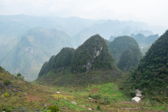 D067606