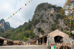 D067619