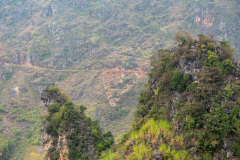 D067630