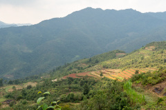 D067631