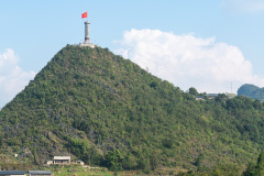 D067646