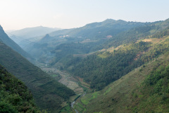 D067653
