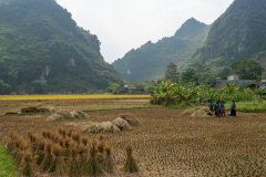 D077742