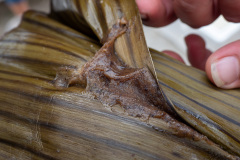 D067579