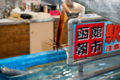 Hakodate Morning Market Ekini Market, 函館朝市 駅二市場