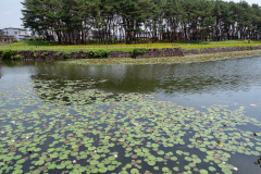 Goryōkaku, 五稜郭跡