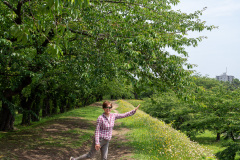 Goryōkaku, 五稜郭跡