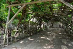 Goryōkaku, 五稜郭跡