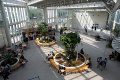Goryōkaku Tower, 五稜郭タワー