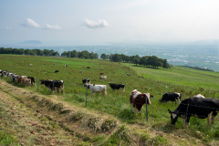 Nanae, Shirotai Ranch Observation Deck