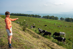Nanae, Shirotai Ranch Observation Deck