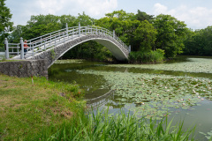 Kogetsu Bridge, Nanae, Onuma Quasi National Park, 大沼国定公園, 湖月橋