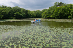 Nanae, Onuma Quasi National Park, 大沼国定公園
