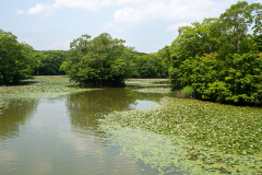 Nanae, Onuma Quasi National Park, 大沼国定公園