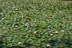 Nanae, Onuma Quasi National Park, 大沼国定公園