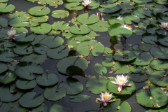 Nanae, Onuma Quasi National Park, 大沼国定公園