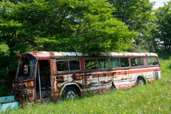 Nishiyama Crater Walking Trail, Toyako, 西山山麓火口散策路