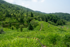 Nishiyama Crater Walking Trail, Toyako, 西山山麓火口散策路