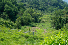 Nishiyama Crater Walking Trail, Toyako, 西山山麓火口散策路