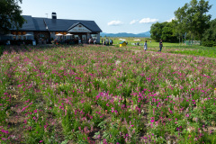 Lake Hill Farm, Toyako