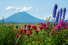 Lake Hill Farm, Toyako
