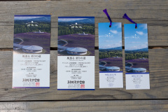 Hill of the Buddha, Sapporo