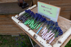 Hill of the Buddha, Sapporo