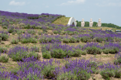 Hill of the Buddha, Sapporo