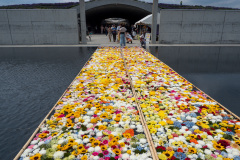 Hill of the Buddha, Sapporo
