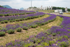 Hill of the Buddha, Sapporo