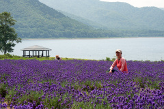 Lake Kanayama Lavender Field, Minamifurano