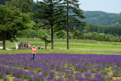 Lake Kanayama Lavender Field, Minamifurano