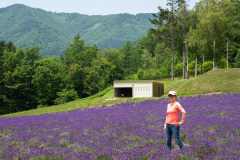 Lake Kanayama Lavender Field, Minamifurano