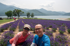 Lake Kanayama Lavender Field, Minamifurano