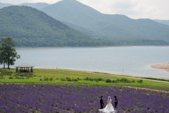 Lake Kanayama Lavender Field, Minamifurano